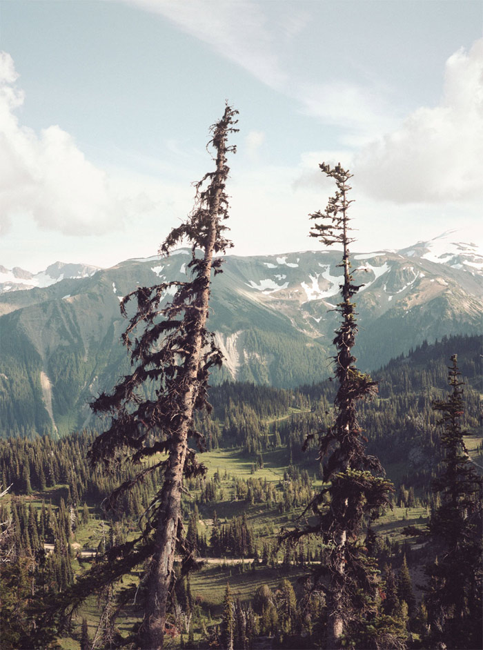 pierre debroux yosemite  glacier national park photo